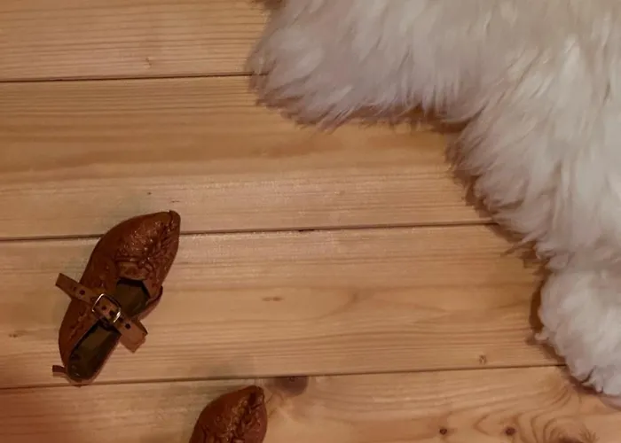 Holiday home Dom Drewniany Z Sauna I Jacuzzi W Szklarskiej Porebie