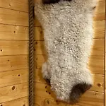 Dom Drewniany Z Sauna I Jacuzzi W Szklarskiej Porebie